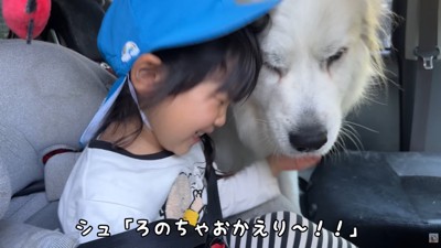 嬉しそうな子供と大型犬