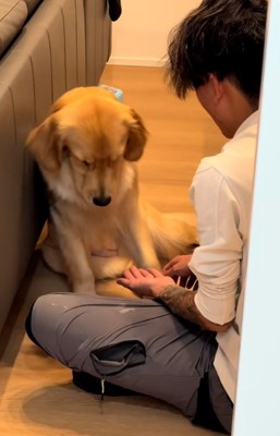 やる気のないムーンちゃん