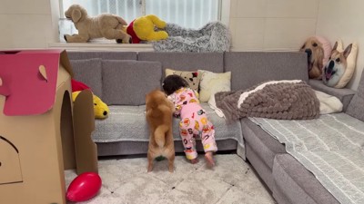 第2ラウンドが開始！！