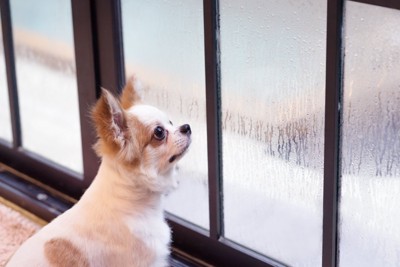 雨の窓際