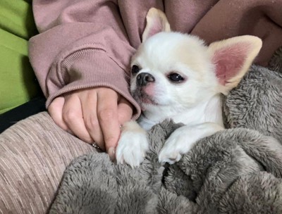 甘えながらのんびり♡