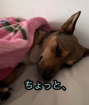 布団をめくると…