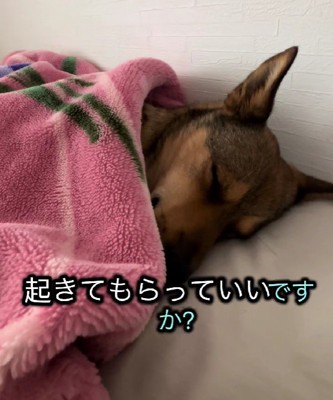 「今日はお休みにしたい」