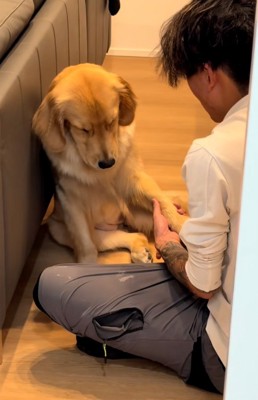 おかわりするムーンちゃん