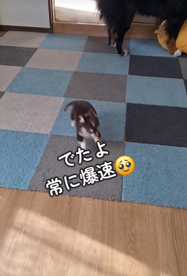 元気いっぱい♪