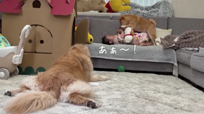 うにくんが狙って…