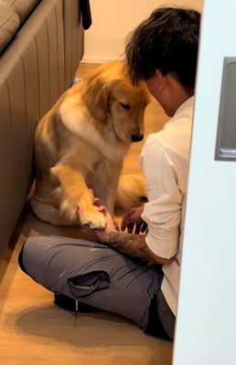 お手をしたムーンちゃん
