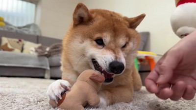 軽く唸って応戦