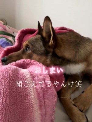 「おやつ」の声に反応！！