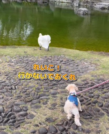 お別れのとき…