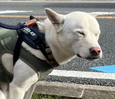 現在