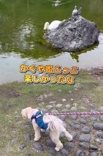 寂しがる姿にキュン♡