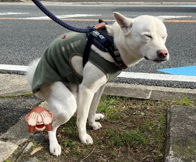 変わらない