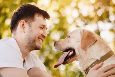 犬を撫でる男性