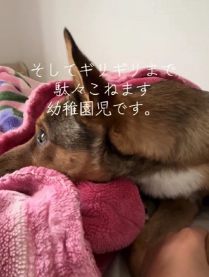 無視していたのに…