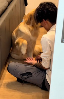 ゆっくり手を上げるムーンちゃん