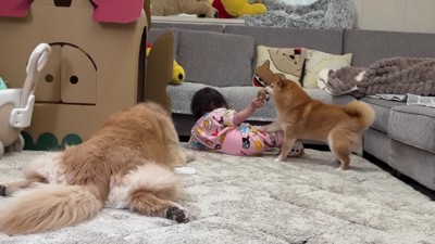 奪ってしまいました