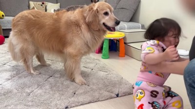 おからちゃんが登場