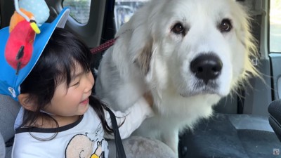 嬉しそうな子供と大型犬