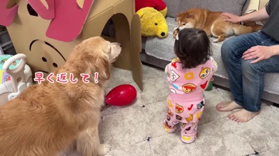 「返してあげて」