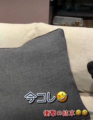 思いがけない展開に