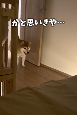 戻ってきた！
