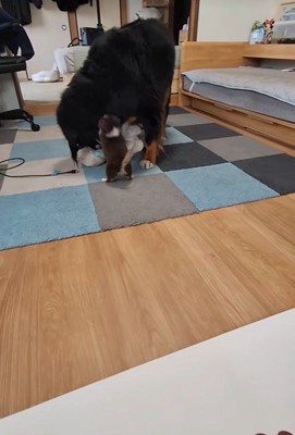大はしゃぎ！