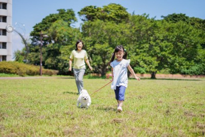 公園で散歩