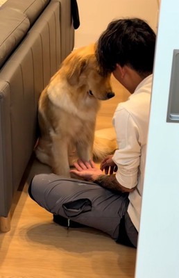 無視するムーンちゃん