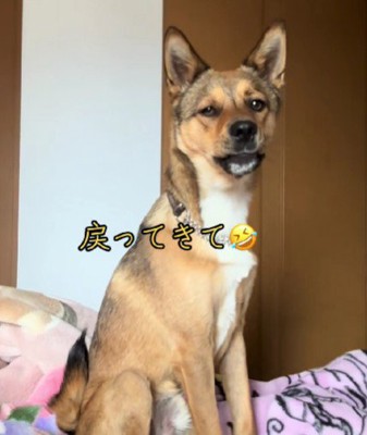 毎回の恒例行事