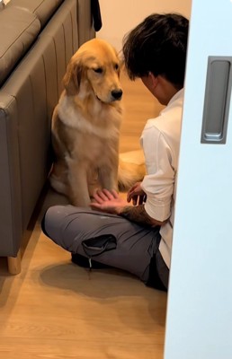 お手と言うパパ