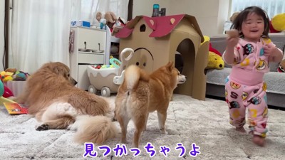 おもちゃ巡る攻防戦開始