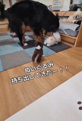 軽く振って見せると…