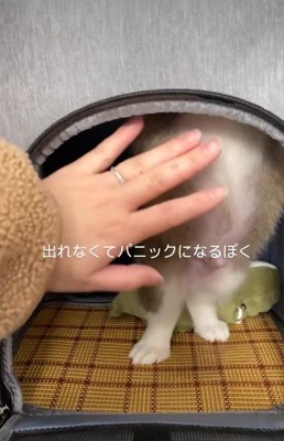 「ここだよ」