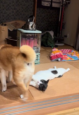 ハラミちゃんの隣に座るかと思いきや…