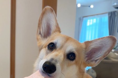 近づいて