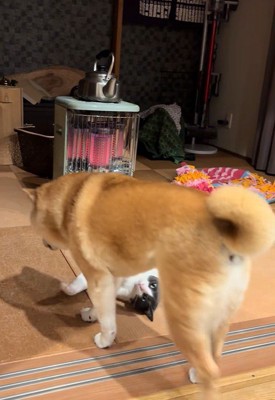 小助くん登場