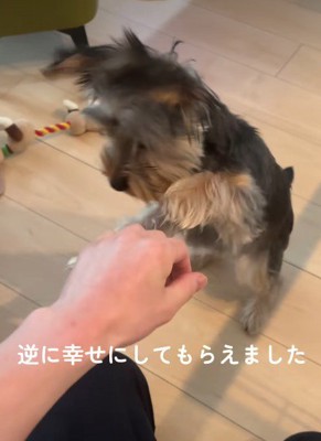 幸せをプレゼントしてくれた
