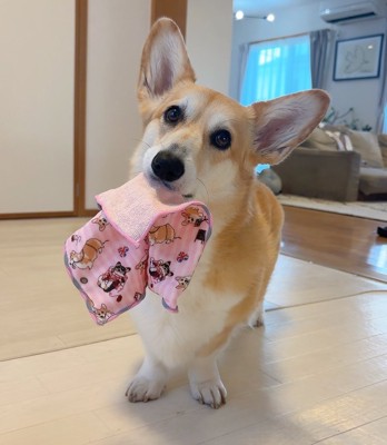 口元
