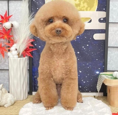 ふんわりもこもこに