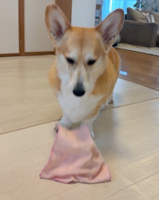 どうぞ