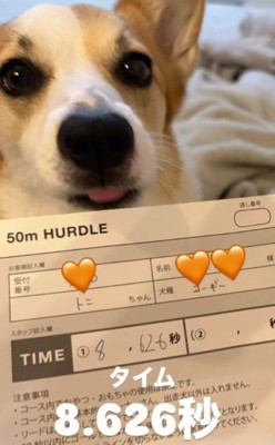逞しく成長したね！