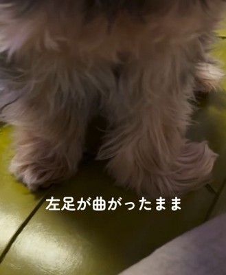 左足が少し曲がっていた