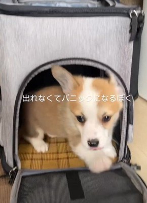 「ここだったのか！」