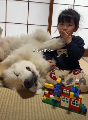 仰向けになっちゃった!!