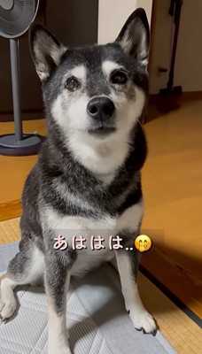 苦笑いするママ