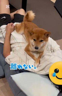 寂しそうななぎ君