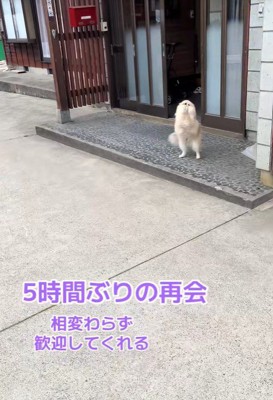 「おかえりなさい！」
