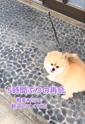 何度も回って大歓迎！