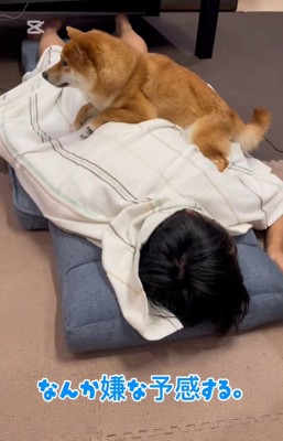 嫌な予感がするなぎ君
